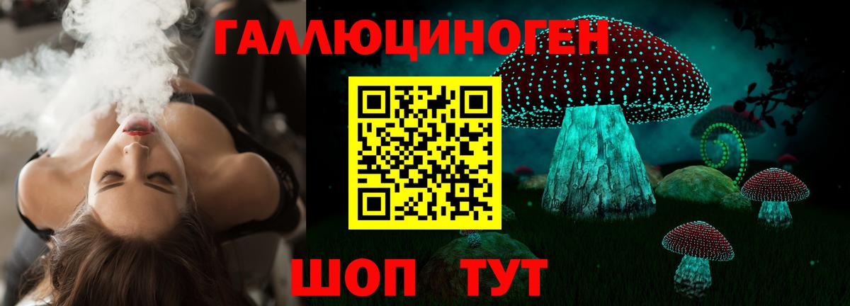 где можно купить наркотик  Вход с VPN  Тавда  Псилоцибиновые грибы MAGIC MUSHROOMS  Галлюциногенные грибы Cubensis 